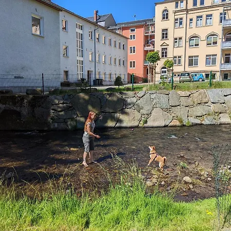 Apartament Urlaubsmagie - Moosgrund - Balkon, Sauna & Saisonaler Pool Sebnitz