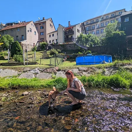 Urlaubsmagie - Moosgrund - Balkon, Sauna & Saisonaler Pool